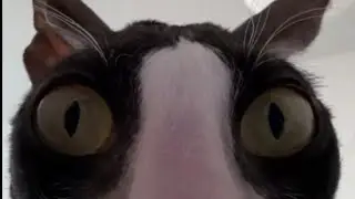 переписка с сербской леди//POLINA_XOMA5683//
