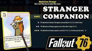 Introducing: The Reliable Stranger (aka The Mysterious Stranger) - Fallout 76