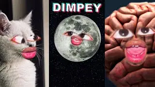 *OLD BUT GOLD* Best Shorts Compilation of Dimpey #2 | ItsDimpey TikToks