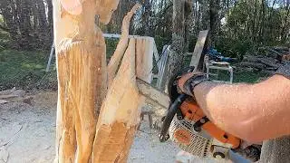 Chainsaw carved eagle tree (last chapter)