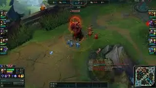 The plays