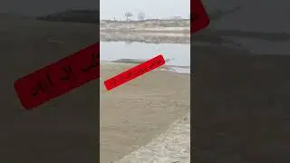 Qasoor me 20 feet Lamba Magar Mach AA gaya.