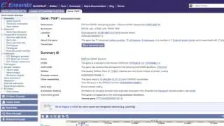 Using search in Ensembl