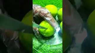 sweet lime cutting #sweetlime #lime #foodshorts #food #fruitcutting #lemon #fruit #shorts #viral