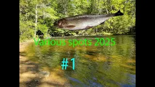 Various spots 2025 #1