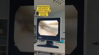 19 декабря 2021 г.