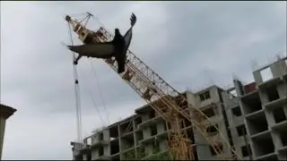The fall of the tower crane.Emergency dismantling.