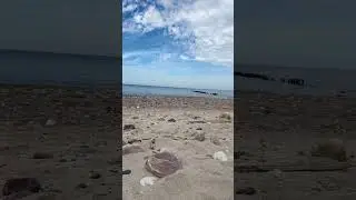 16 июля 2024 г.