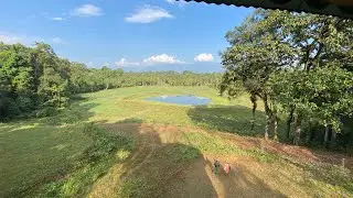 Chapramari forest safari | Chapramari Watch tower safari