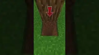 SUBSCRIBE Minecraft Shorts  #Memes #Mainecraft #shorts