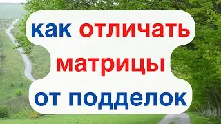 Как Отличить Настоящую Матрицу Гаряева от Поддельной