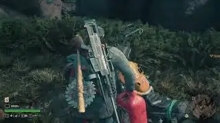 Days Gone 