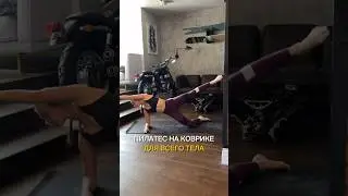 Тренировка на все тело 🔥 #домашниетренировки #спорт #тренировкадома #sports #пилатесонлайн #пилатес
