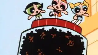 Preview - Insect Inside / Powerpuff Bluff