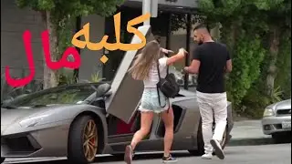 كلاب المال🤑💋