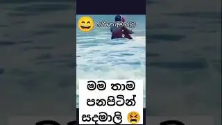 මම තාම පනපිටින් සදමාලි 😫