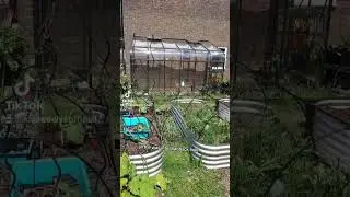 Moving ANOTHER raised bed