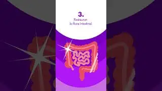 4 razones para consumir probióticos