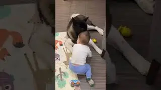 Слушай, а ты по моему не болен.  