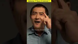 कबूतर की Race हुई Internet से #shorts