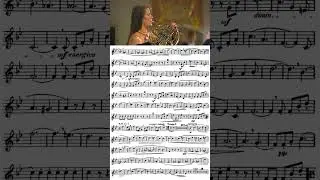 Richard Strauss - Concerto for French Horn No 1 Op. 11 (Marie-Luise Neunecker) - sheet music