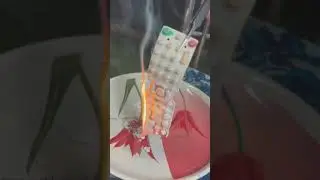 Simple Science Experiment with Water #shorts