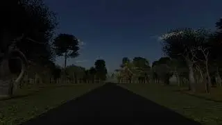 Straight Road and Forest for Movie Scene #1 (Free to use)