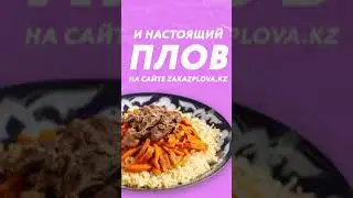 Insta Stories - видео для zakazplova.kz