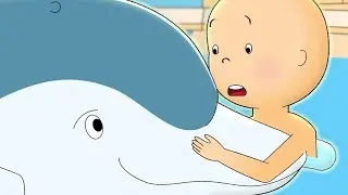 Caillou and the Dolphin | Caillou Cartoon