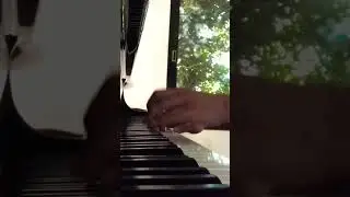 Lasitha Perera Music Academy #musiciansinstitute #piano #viralvideo #musicproductionschool #music