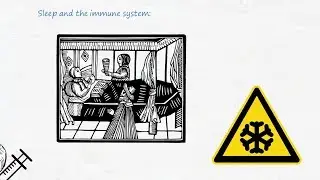 Can You Die From Lack of Sleep? | The Sleep Solution by W. Chris Winter M.D. | Animated Review