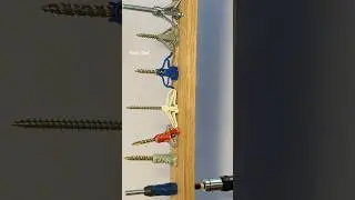 Show and Tips 