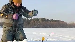 ЖЕРЛИЦЫ В ФЕВРАЛЕ