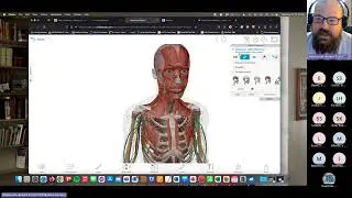 Visible Body and Thieme MedOne for Anatomy Study (8/23/23)