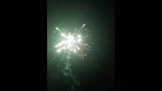 Салют "Новогодье" 1,25х19