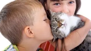 Дети играют с котами