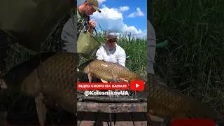 Скоро на каналі #fishing