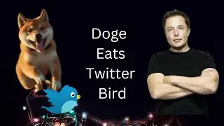 Doge Eats Twitter Bird