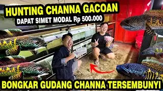 JACKPOT LAGI!! CULIK KOLEKSI CHANNA TERSEMBUNYI DIGUDANG @JAVA CHANNA