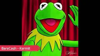 BareCash - Kermit