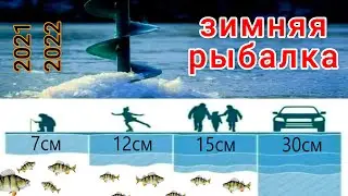 Окуня по 0.5 на балансир. Зимняя рыбалка 2021-2022. Winter perch.