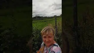 Деревня.Ягоды.Воздух.Солнце и хорошее настроение #релакс