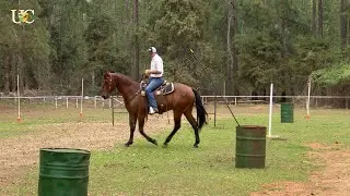 So your horse doesn't get tired of work
