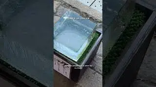 Japanese ice cube reveals your fortune (Himuro Shrine in Nara, Japan)