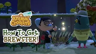 How To Get Brewster in Animal Crossing New Horizons (Guide)
