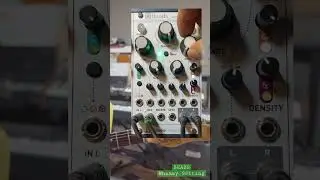 BEADS Whammy Setting #beads #whammy #modular