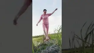 tante montok bikin video di sawah