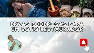 Ervas Poderosas para Combater Insônia e Acordar Renovado