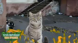 "Приключения Васи Пупкина" - Пожар [1 сезон: 7 серия]