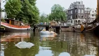 AMSTERDAMNED - 35 jaar